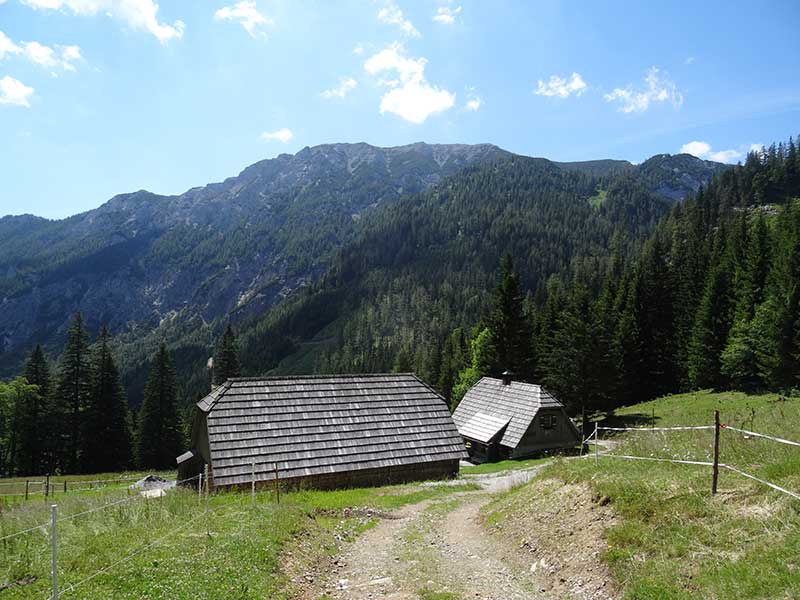 Buchbergkogel